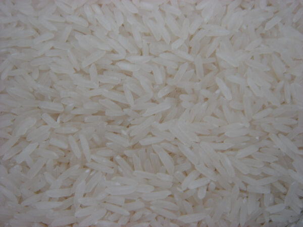 Thai Pathumthani Fragrant Rice